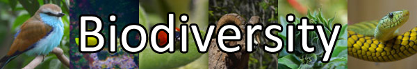 Biodiversity-Banner