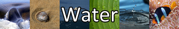 Water-Banner