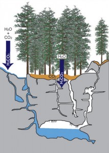 Fig. 1: Rainwater mixes with carbon dioxide in the atmosphere and soils to form carbonic acid (H2CO3), which acts to dissolve away limestone.