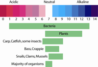 pH tolerances