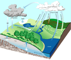 Hydrologic Cycle