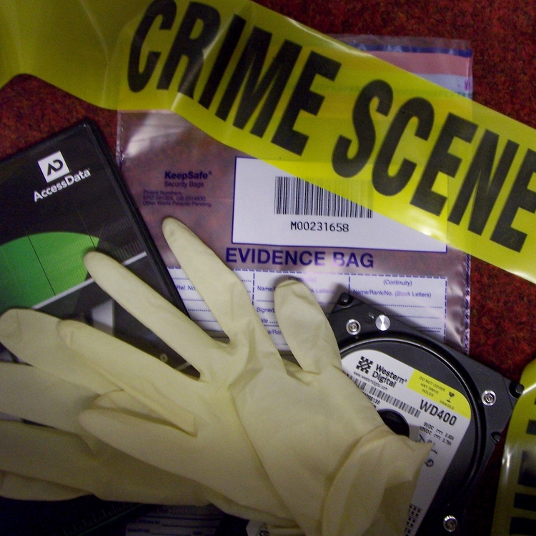 CSI – Texas: The Science of Sleuthing