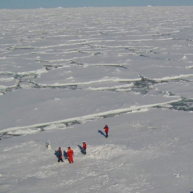 Come Ice or High Water: How Will Global Warming Affect Antarctic Ice Sheets and Sea Levels?