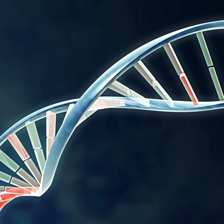 DNA in Hollywood: Fact, Fiction, and Future
