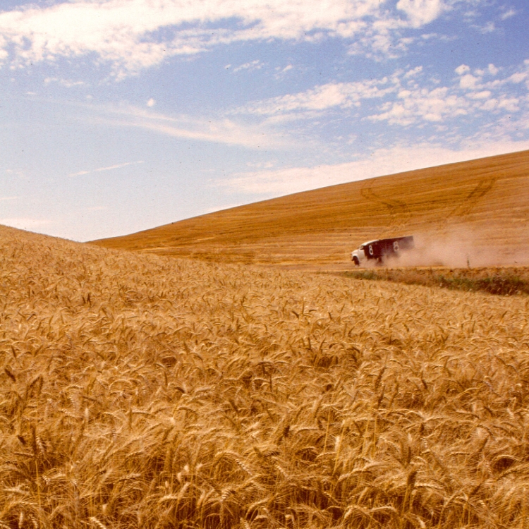 Life on a Human Dominated Earth: The Challenges Ahead