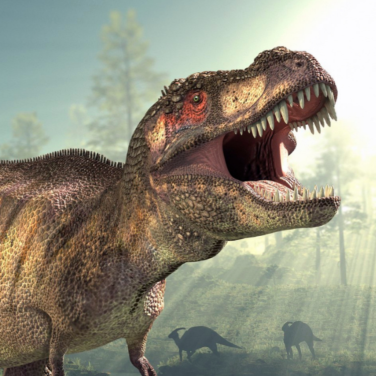 brecha Reducción de precios un poco A Dinosaur's Roar | Environmental Science Institute | Jackson School of  Geosciences | The University of Texas at Austin