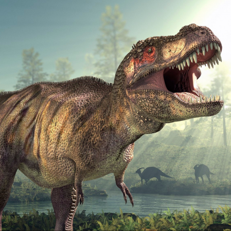 A Dinosaur’s Roar