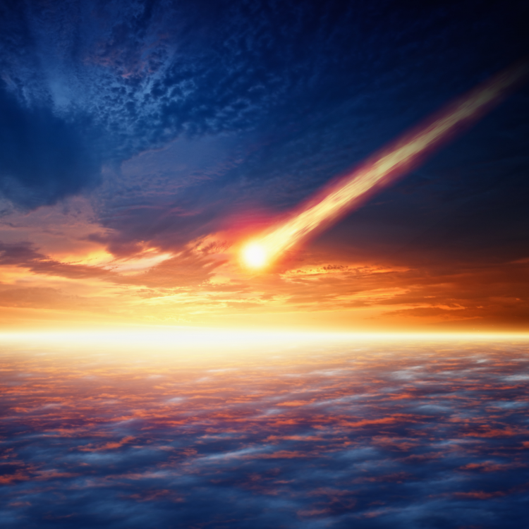 Life and Death by Impact