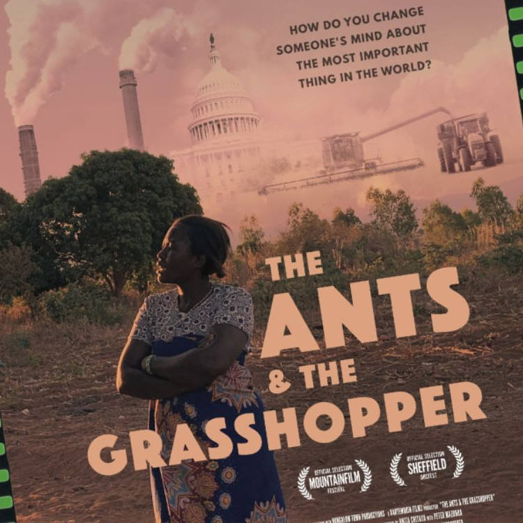 Film Screening: The Ants and the Grasshopper