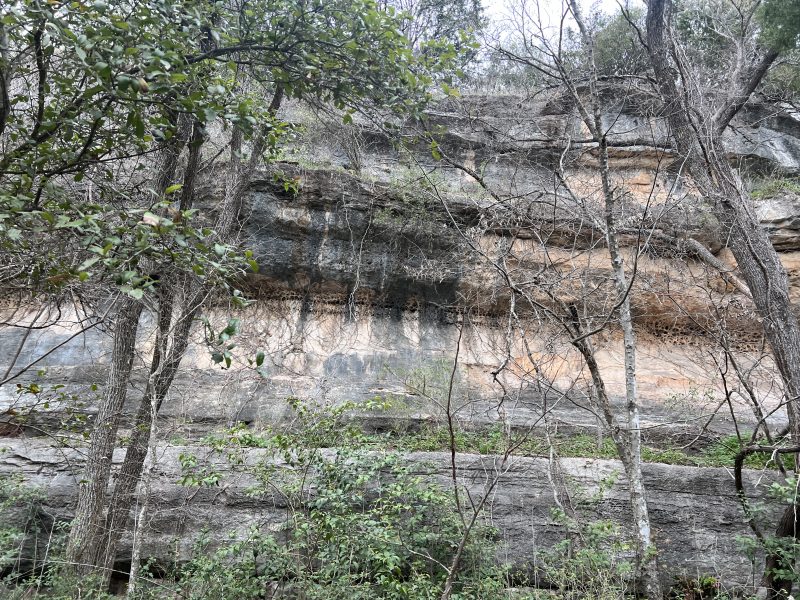 Img 0852.jpg A Very Vesicular Layer Of Rock In An Outcrop Lining A Trail At Barton Springs.