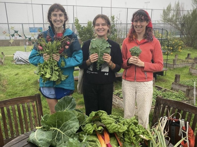 Img 2422 Alicia Rusthoven (middle) Pictured With Locally Grown Produce At The Ut Microfarm