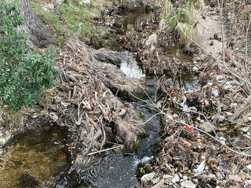 Img 5870 Large Amounts Of Trash In Waller Ck And Near Bald Cypress Tree