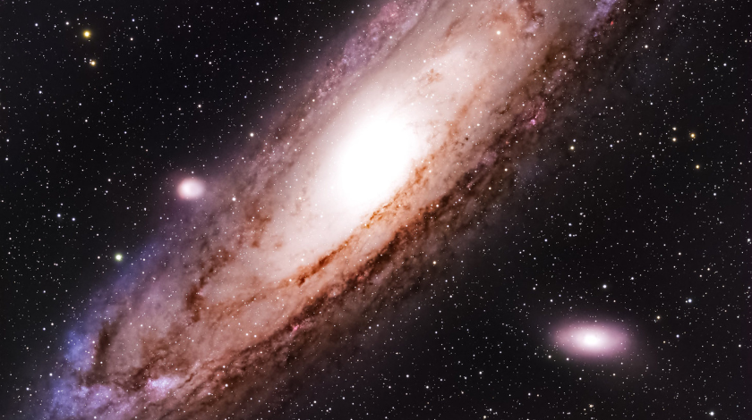 Chimp Poster Flyerwordpress (1)