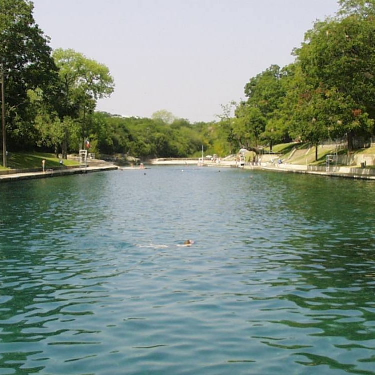 What’s in the Water: The History and Future of Barton Springs