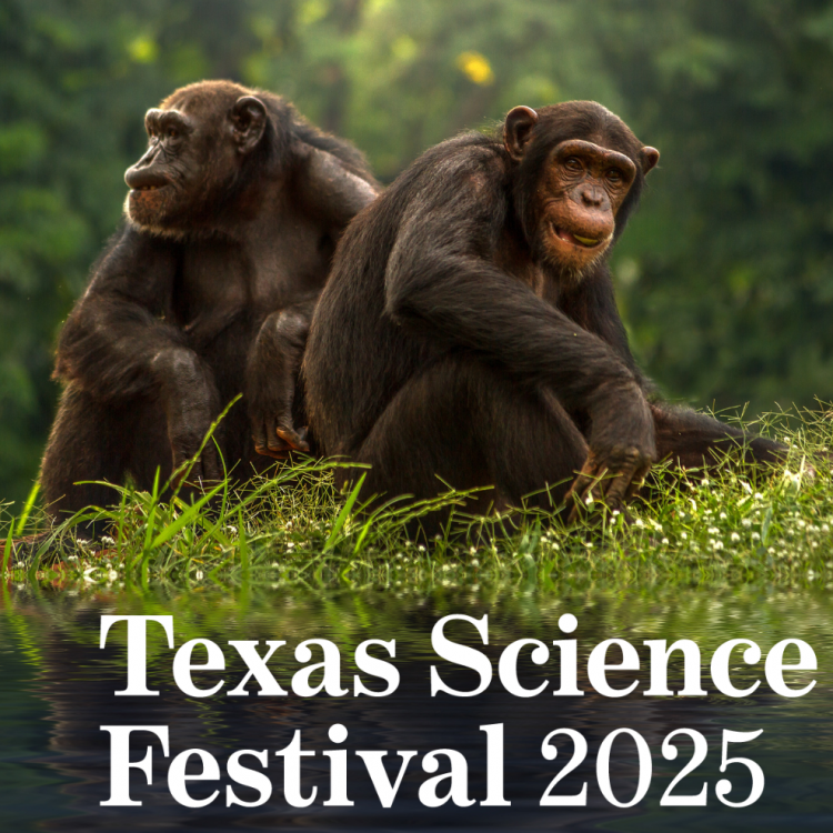 Love and War: What Can We Learn from Chimpanzees