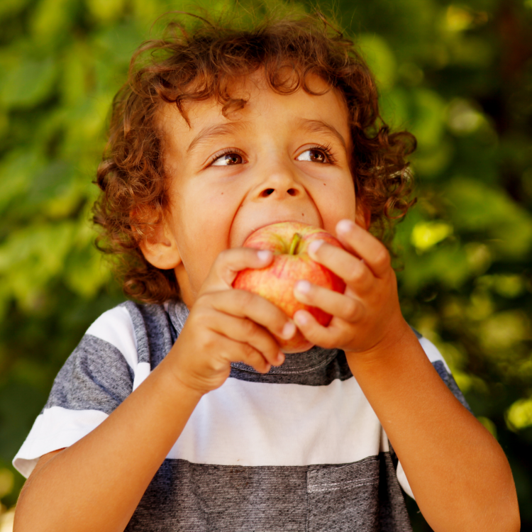 Food Glorious Food: How We Will Beat Hunger
